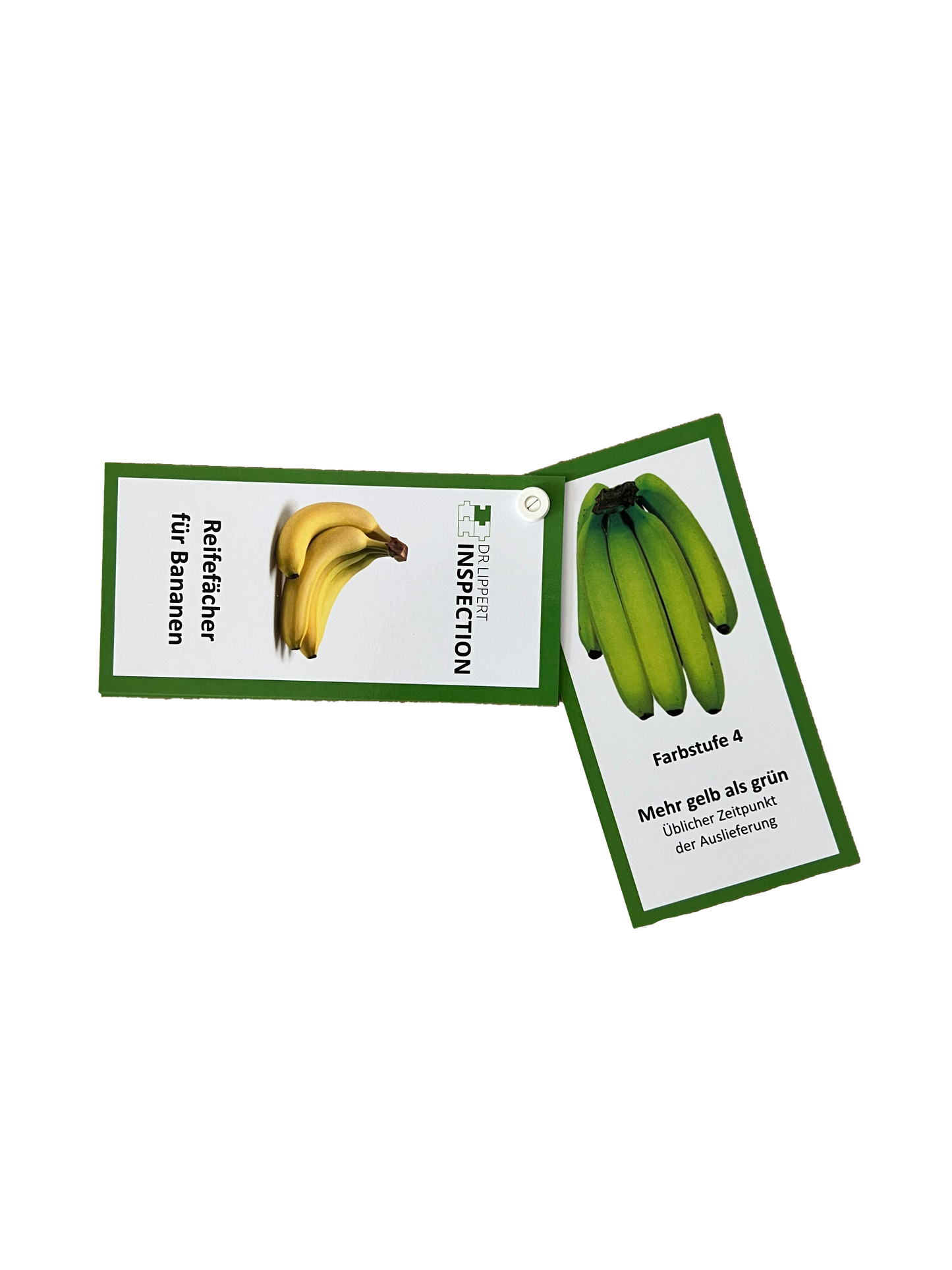 Reifefächer für Bananen