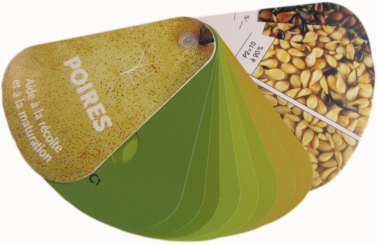 color fan, pear