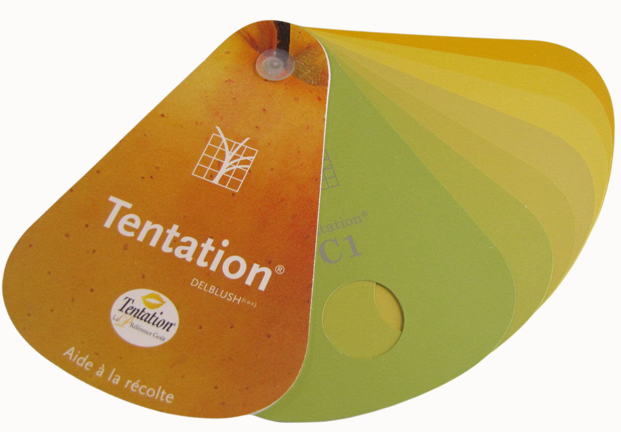 Farbfächer, Temptation