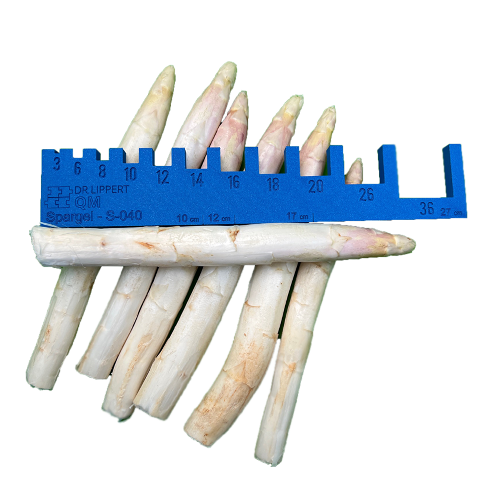 Sorting template universal large, 3D printing