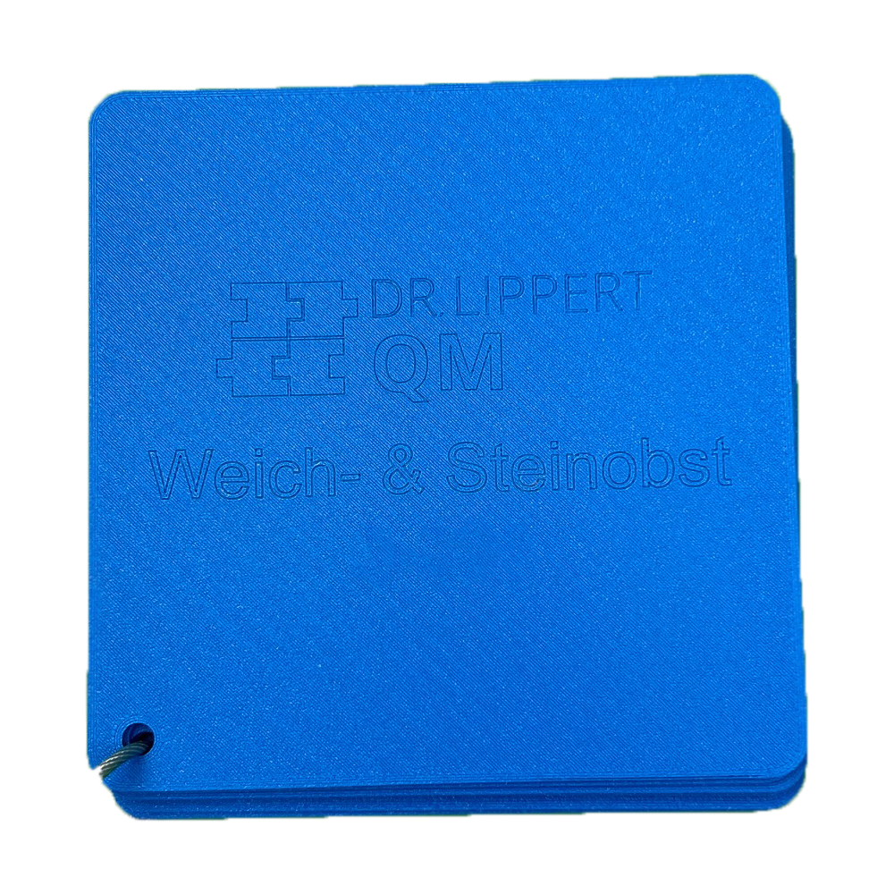 Sorting template universal large, 3D printing