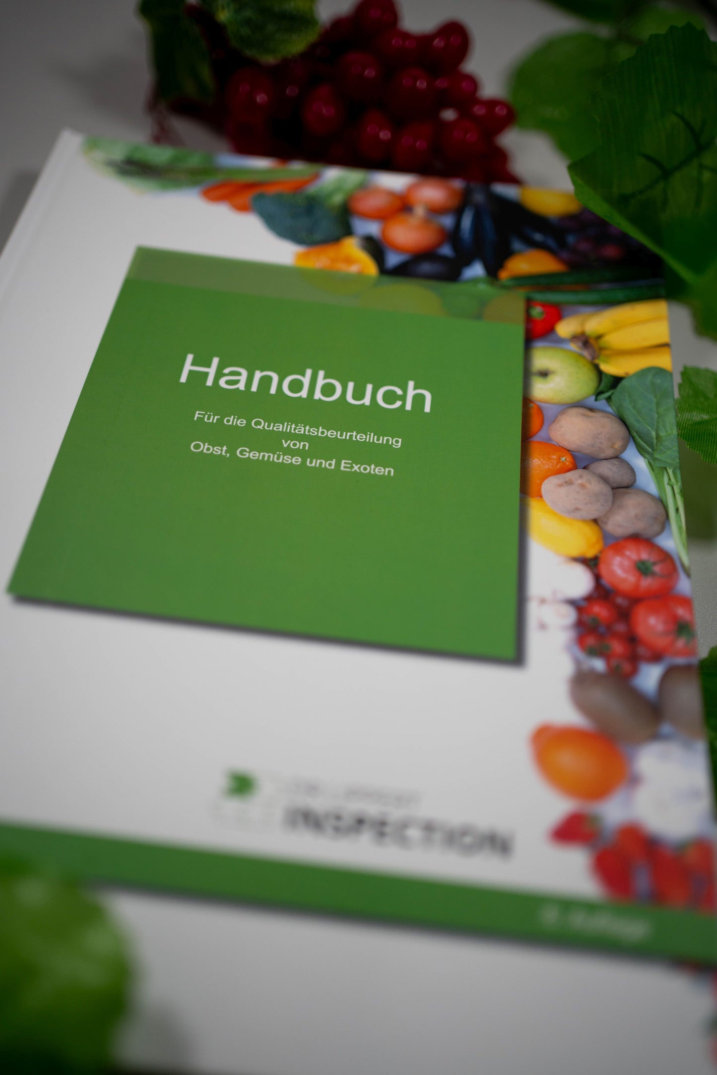 Handbook for assessing the quality of fruit and vegetables