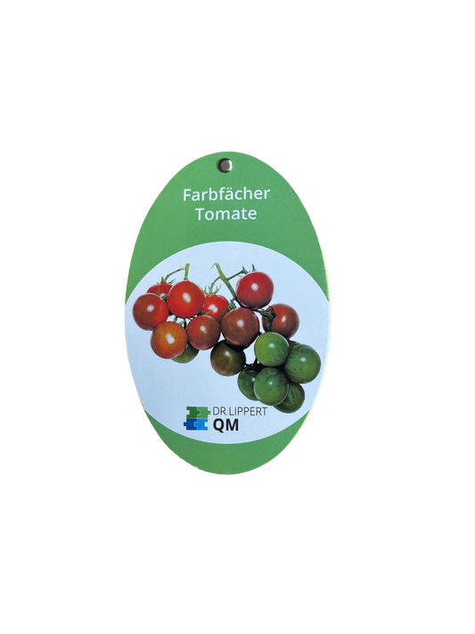 Farbfächer, Tomate