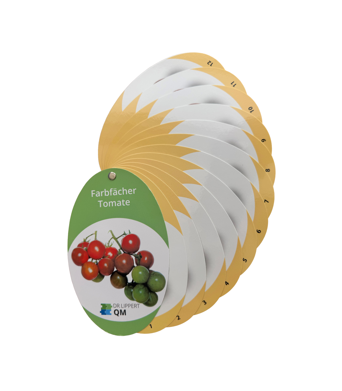 Farbfächer, Tomate
