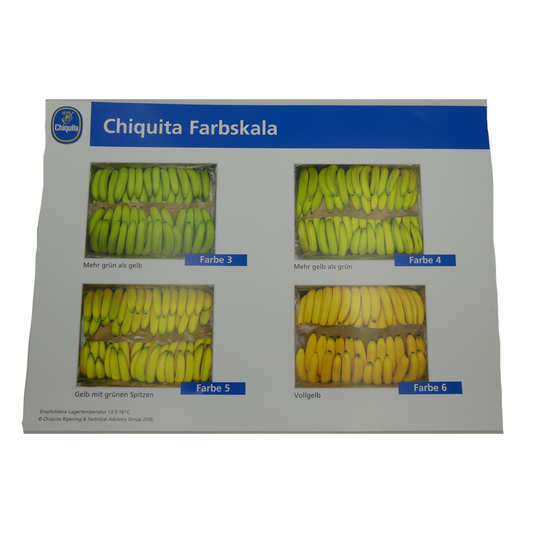 Chiquita Farbskala für Bananen