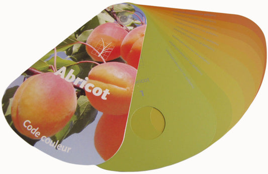 Farbfächer, Aprikose