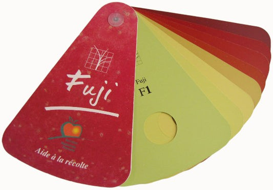 Farbfächer Fuji