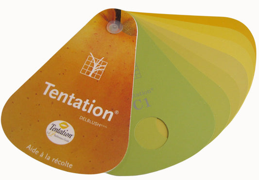 Farbfächer, Tentation