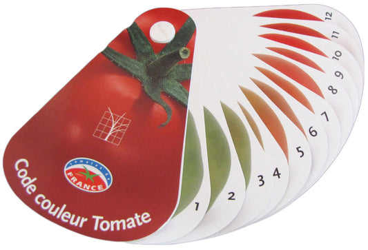 Farbfächer, Tomate